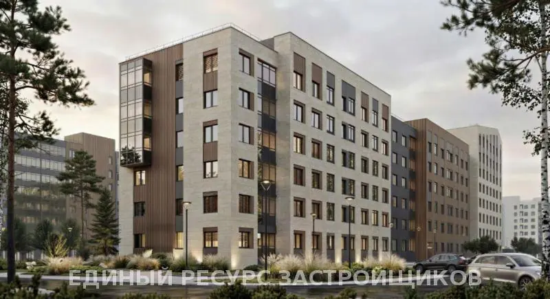 ЖК Борский, Янино-1